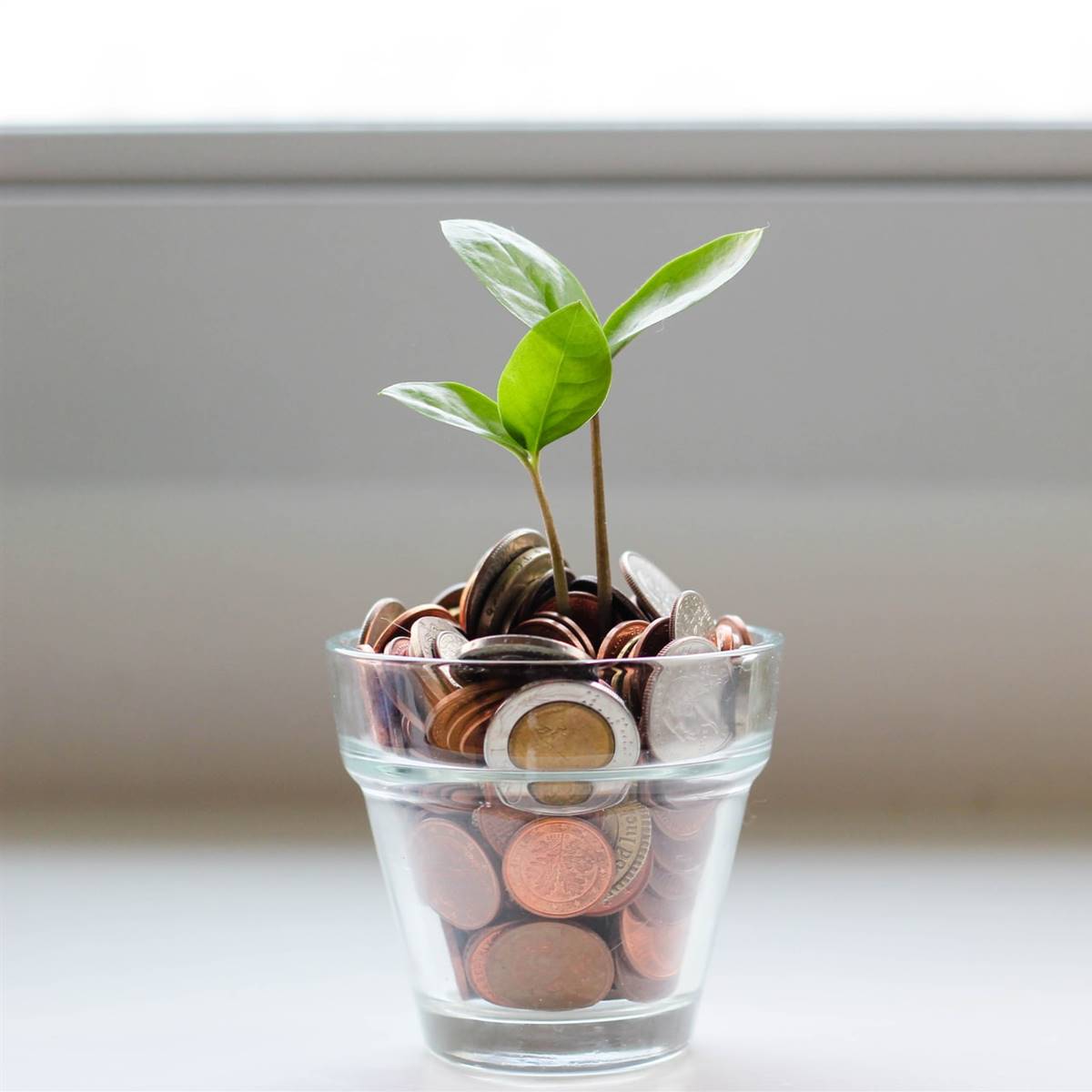 10 consejos para ahorrar dinero en familia y ser más sostenibles