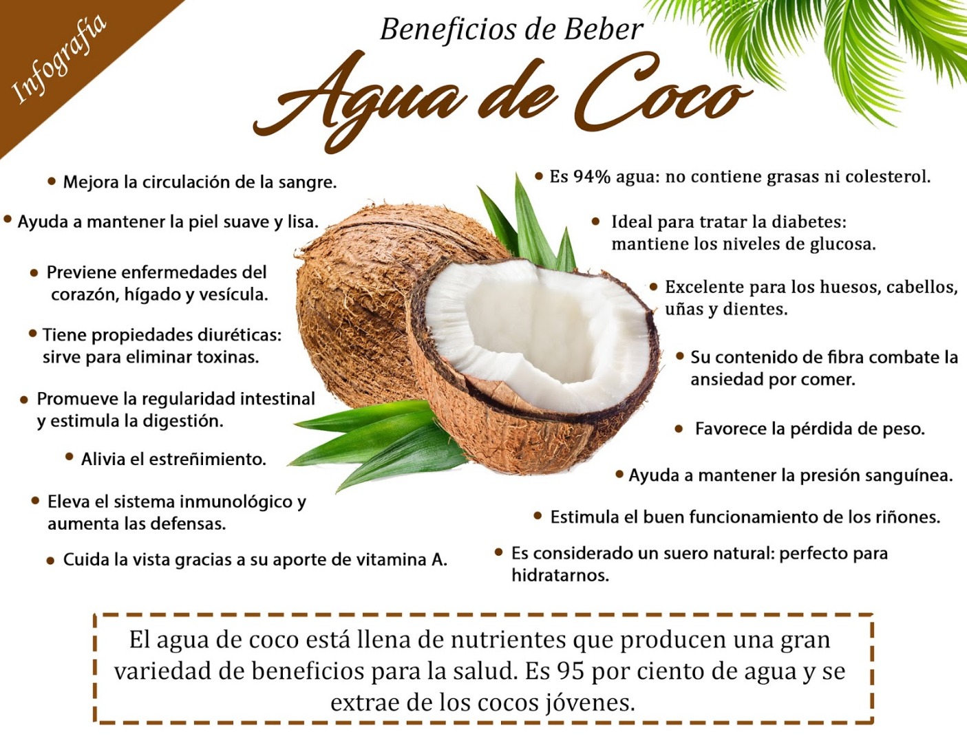 7 formas efectivas de conservar el agua de coco natural y aprovechar todos sus beneficios