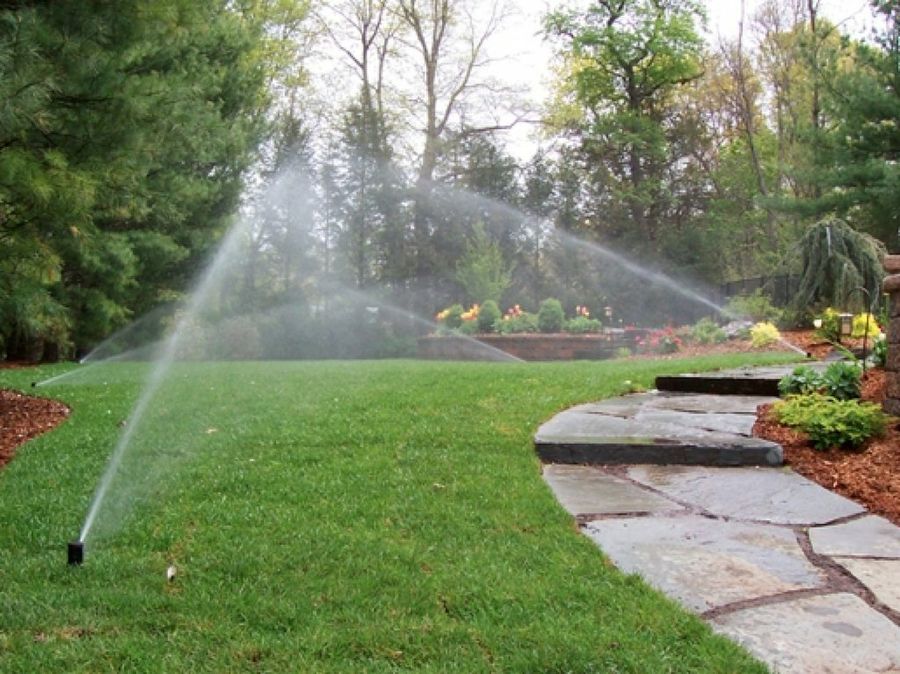 Aprovechando el agua al máximo: cómo ahorrar en el riego del jardín