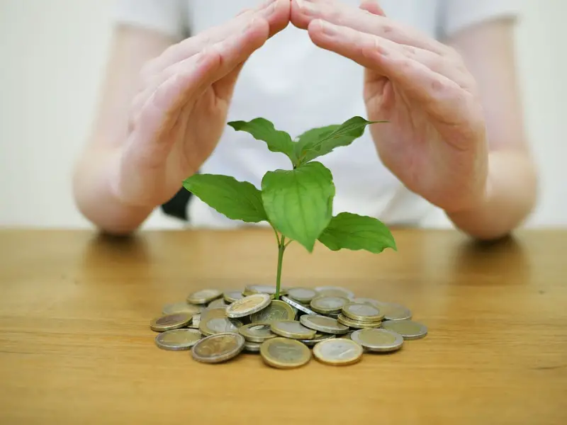 Cómo ahorrar dinero como hogar sostenible y respetuoso con el medio ambiente