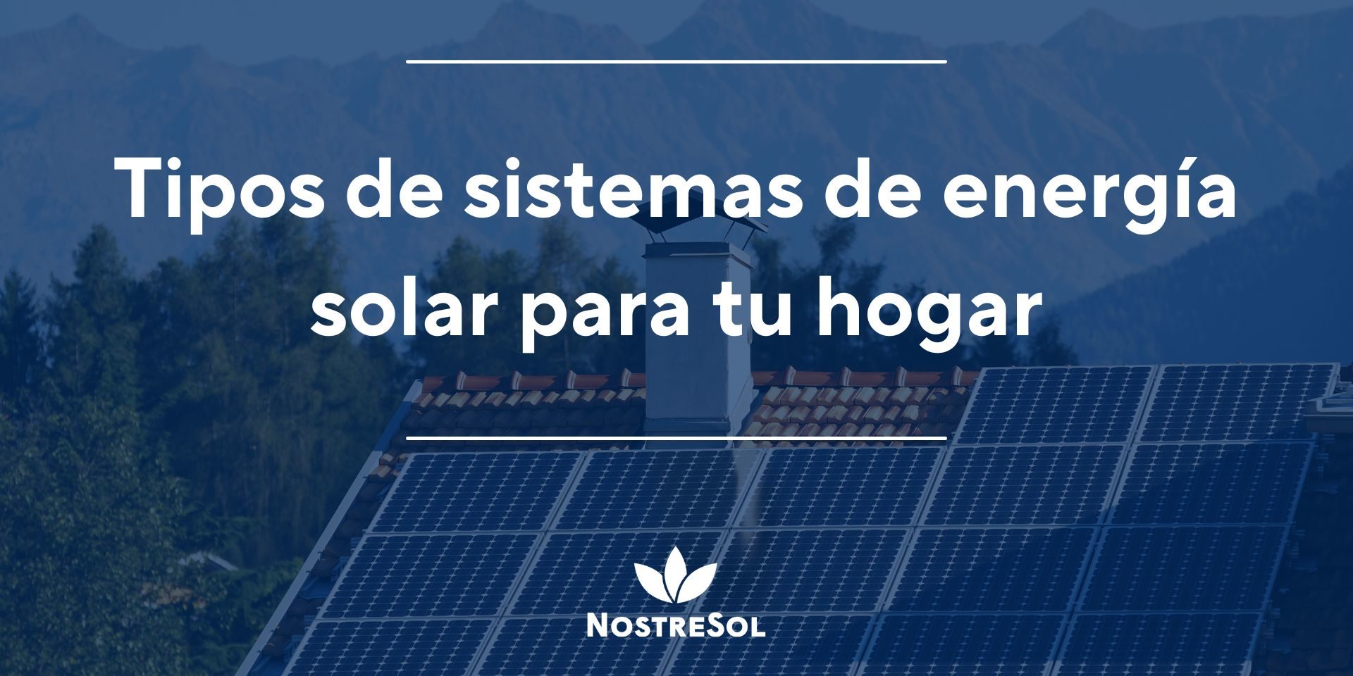 Conoce los 3 tipos de paneles solares y elige la mejor opción para tu hogar sostenible