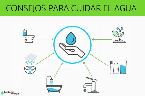 Consejos para ahorrar agua al lavar y cuidar el medio ambiente