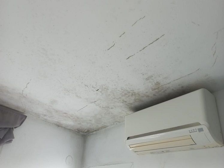 Consejos para evitar la condensación en el techo y mantener tu hogar saludable