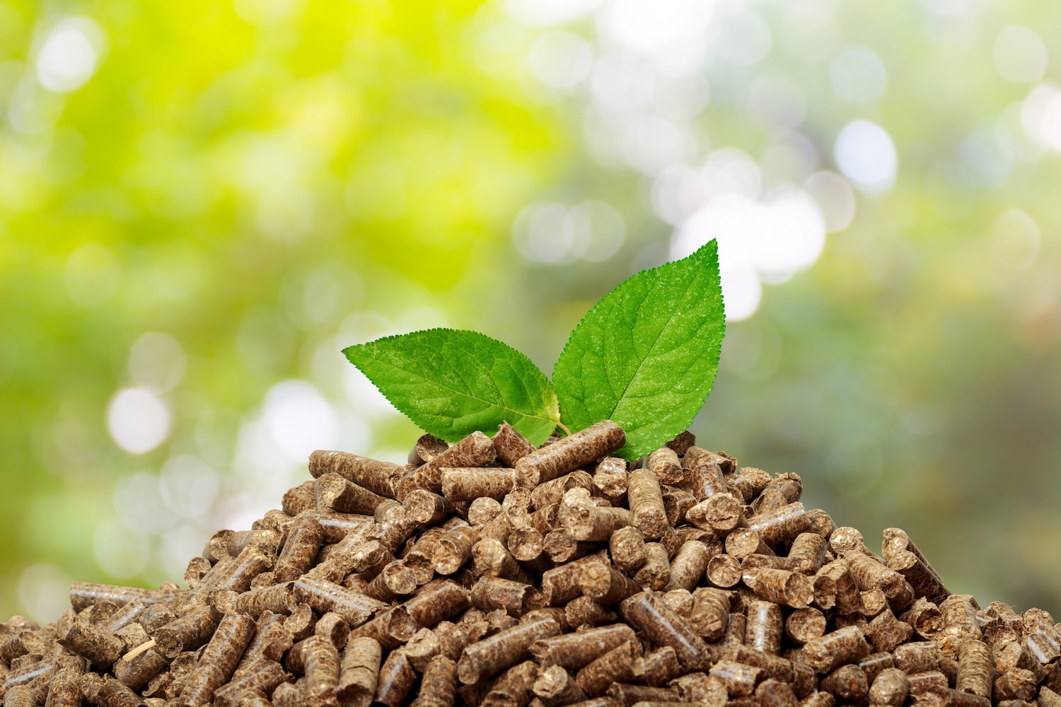 Hogares sostenibles: la eficiencia energética de los pellets como opción ecológica