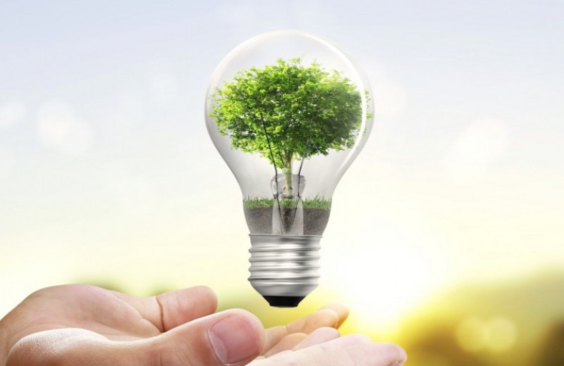 ¡Illumina tu negocio sin gastar de más! Descubre cómo ahorrar luz y reducir tus costos energéticos